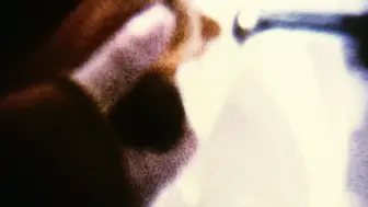 蝴蝶 韩国三级